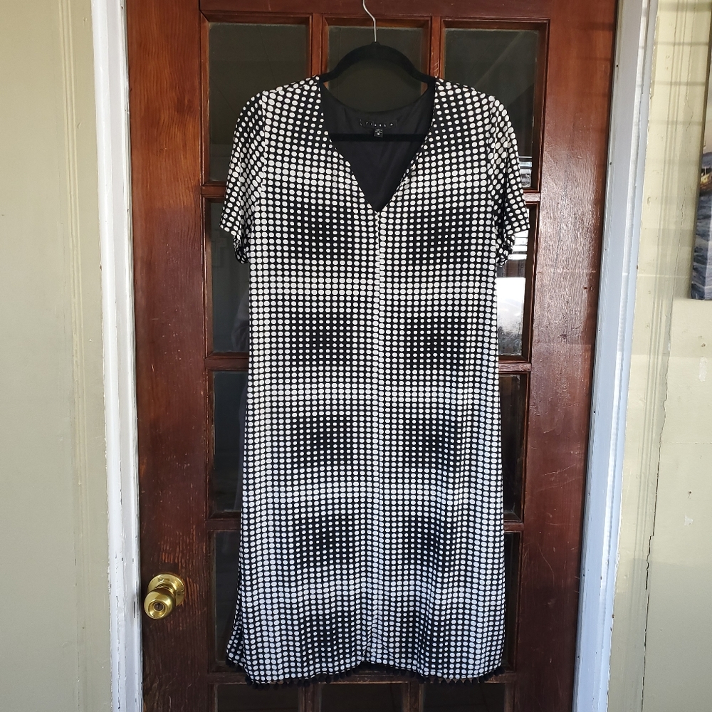 Tiana B Dress
